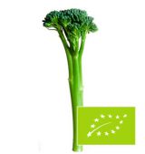 brocoli-bimi-eco