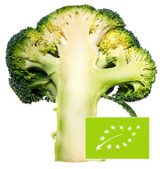 brocoli-interior-eco