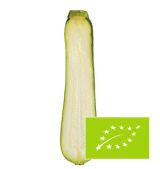 calabacin-interior-eco